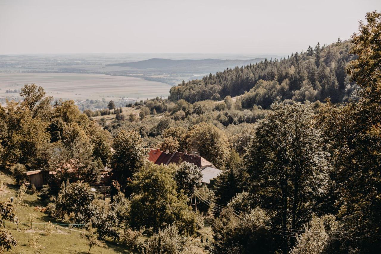 Villa Hubertus Srebrna Gora Exterior photo